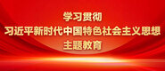 男人大鸡巴操女人大骚屄屄学习贯彻习近平新时代中国特色社会主义思想主题教育_fororder_ad-371X160(2)